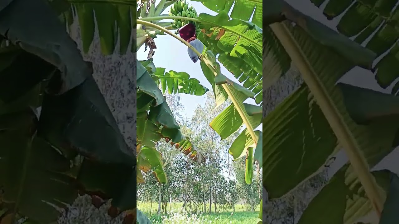 ❤️❤️❤️❤️