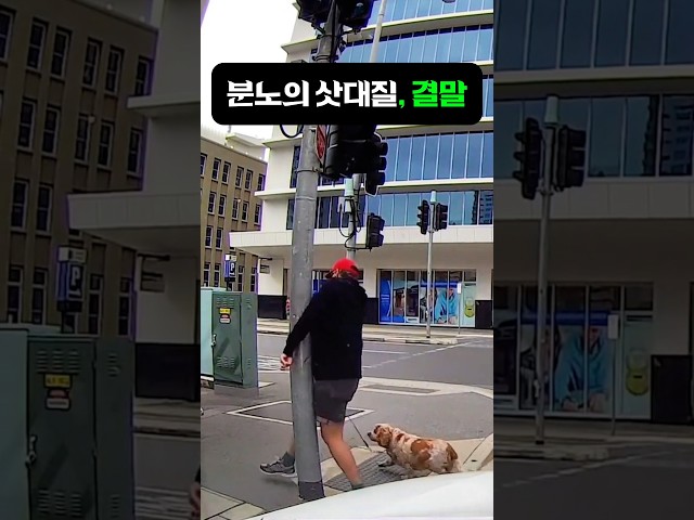 "앞 똑바로 봐!" 삿대질 하더니.. | #웃긴영상 #솟은발톱