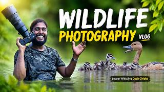 অবশেষে অনেক দিনের ইচ্ছে পূর্ণ হলো | Wildlife Photography Vlog 86 | Lesser Whistling Duck With Chicks