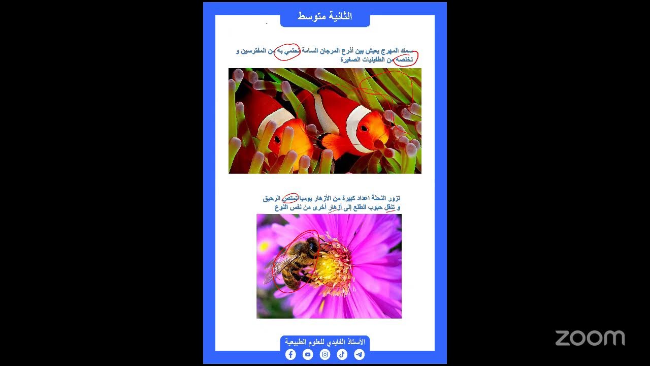شرح مميز لدرس العلاقات بين الكائنات ثانية متوسط