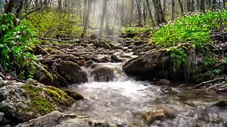 Hushed Waters Near the Hills