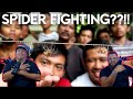 Philippines Spider Fighting?! | Kaka Fighting | Americans React