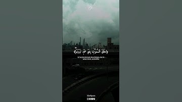 من سورة لقمان بصوت القارئ ياسر الدوسري