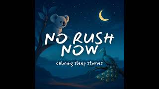 A Mindful Cup of Tea - relaxing story with tea Meditation