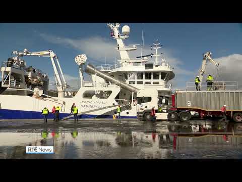 Fish processors accuse