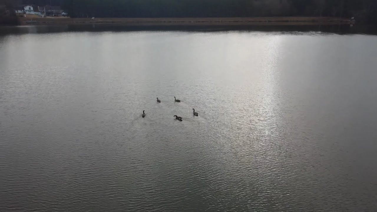 DJI mini 4k Lithonia Georgia