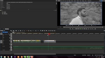 21 VIDEO FILTERS OLD MOVIE FILM EFFECT || Wedding Film Maker || Edius Classes