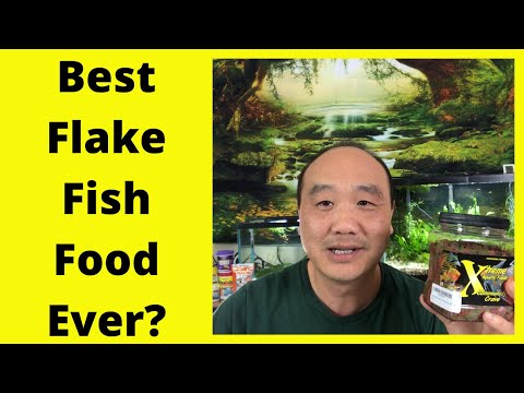 วีดีโอ: Wardley Advanced Nutrition โปรตีนที่สมบูรณ์แบบ Tropical Flake Fish Food Recall