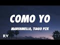 Miniature de la vidéo de la chanson Como Yo :(