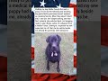 GENTLE DOG BECOMES BRAVE PROTECTOR 🐶❤️🥹