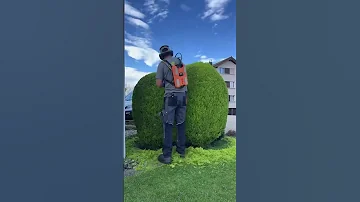 Caught You Slacking 