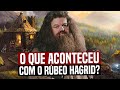 O QUE ACONTECEU COM O HAGRID DEPOIS DE RELÍQUIAS DA MORTE?