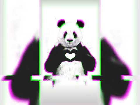 ჩემო კუკული Chemo Kukuli მალხაზ ფუტკარაძე Malkhaz Putkaradze 