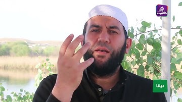 القرآن الكريم .. حياة القلوب