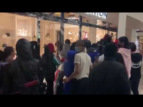 WATCH: Looters ransack Louis Vuitton, police HQ and smash BANKS as Portland erupts in protest ...