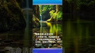 生命活泉-云变成雨                    #生命 #活泉 #圣经 #真理 #福音 #見證分享 #正能量