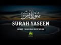 Surah Yasin Full | Heart Touching Quran Recitation | Beautiful & Peaceful