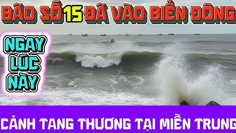 NHỮNG TIẾNG KHÓC XÉ LÒNG TRONG BÃO LŨ🙏 #ducphat #suyngam #baolumientrung #tinbaomoinhat #baoso15