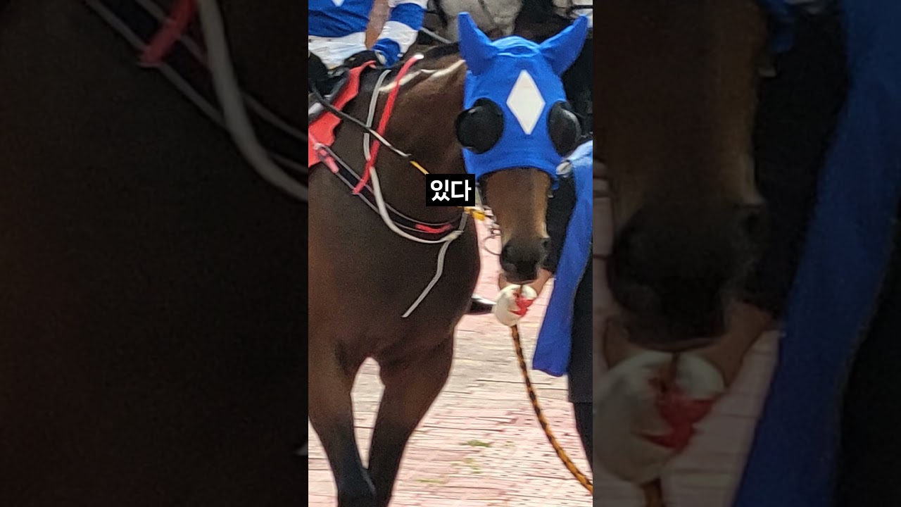 26.01.18 서울경마 09경주