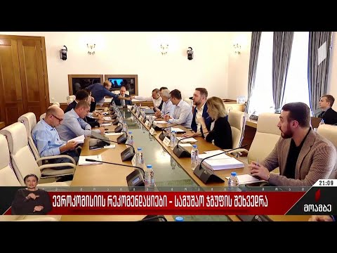 ევროკომისიის რეკომენდაციები - სამუშაო ჯგუფის შეხვედრა