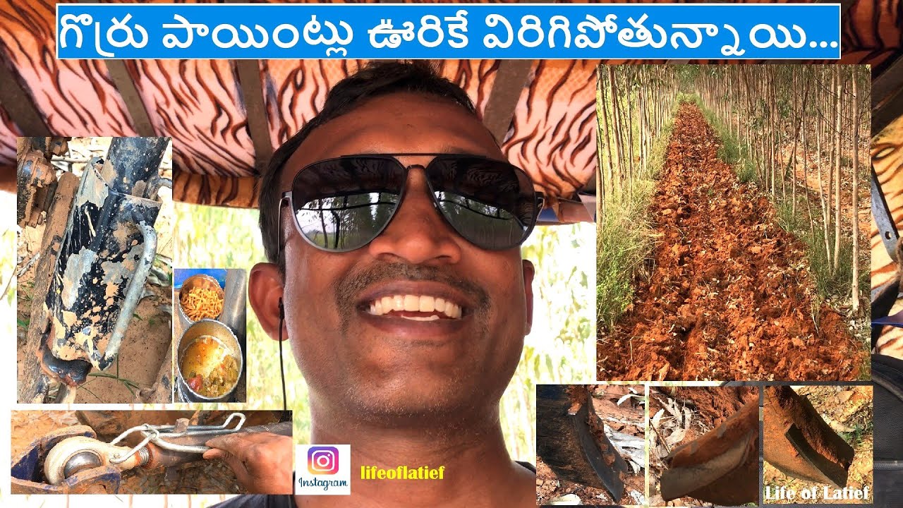 Dukki Dunnadam | Cultivation with Tractor | దుక్కి దున్నడం ఎలా ట్రాక్టర్ తో | Life of Latief