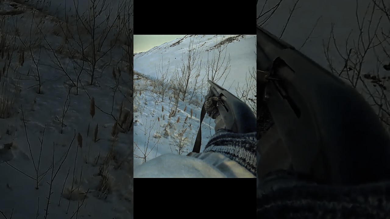 Ultimate Rabbit Hunting Adventure: High-Speed Action ​