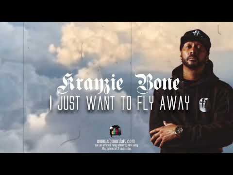 Βίντεο: Krayzie Bone Net αξίας