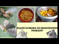 PAANO GUMAWA NG MASUSTANSYA PAGKAIN NG PUSA(CAT)