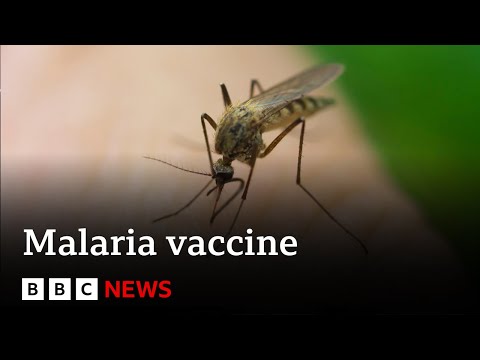 New malaria vaccine “could save millions of lives” - BBC News @BBCNews
