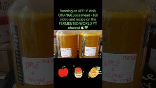 #brewing #apple #orange #mead #orangejuice #applejuice #homebrew #fermentedworld #ytshorts #honey