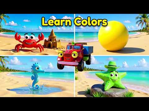 Learn Colors at the Beach with Didadu! 🏖️🦀 Red, Yellow, Blue, Green | Educational Video for Kids