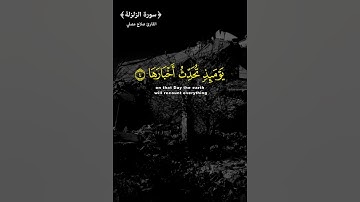 تلاوة خاشعة مريحه للقلب 💖سورة الزلزلة - القارئ صلاح مصلي