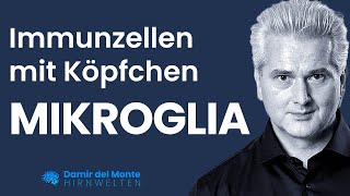 Immunzellen mit Köpfchen – MIKROGLIA | Dr. Dr. Damir del Monte | HIRNWELTEN