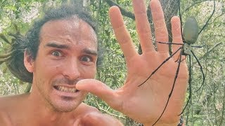 GIANT SPIDER