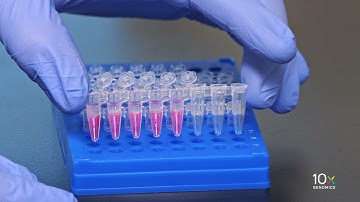 Single Cell Gene Expression HT Protocol v3.1 | Break GEMs with Recovery Agent