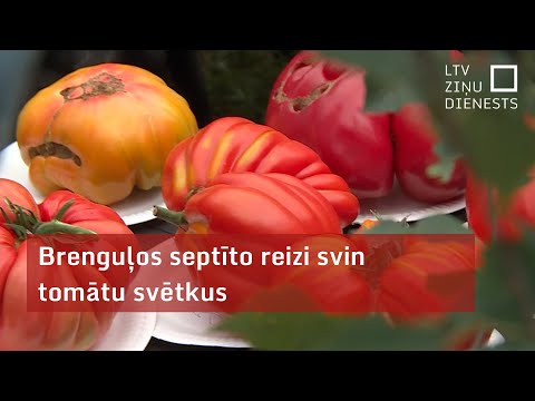 Video: Kas ir tomātu knābis?