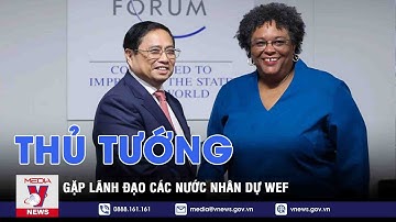 Thủ tướng gặp lãnh đạo các nước nhân dự WEF - VNEWS
