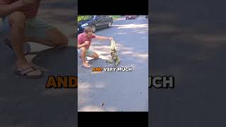 SLOTH vs TRAFFIC
Instagram: https://www.instagram.com/klrproductions_/
TikTok: https://www.tiktok.com/@klrdubs?lang=en
Facebook: https://www.facebook.com/klrproductions/
Source Material:
https://www.tiktok.com/@zqqx140/video/7582138672917515550
We do all our own edits, voices, sound effects, and subtitles. Send us an email at klrproductions26@gmail.com for any questions, comments or concerns.
Submit your video: https://klrproductions.com
Thank you!
#funny #klrproductions #animalvoiceover SLOTH vs TRAFFIC