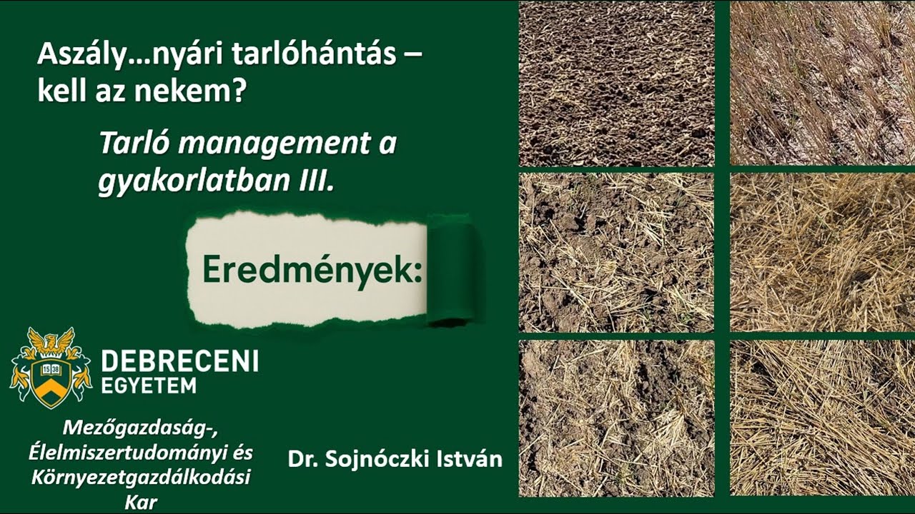 Aszály….nyári tarlóhántás kell az nekem? Tarlómenedzsment a gyakorlatban III.