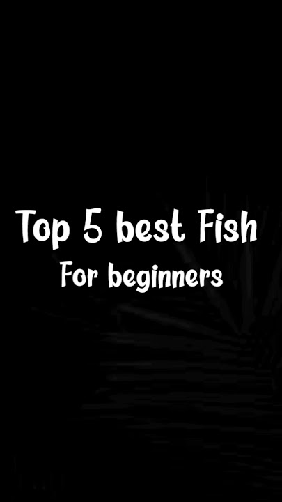 Top 5 best fish for beginners in aquarium hobby 🔥#aquraium #fish #beginners #top 5