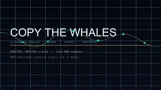 Welcome to CopyTheWhales — AI Trading Bots Live