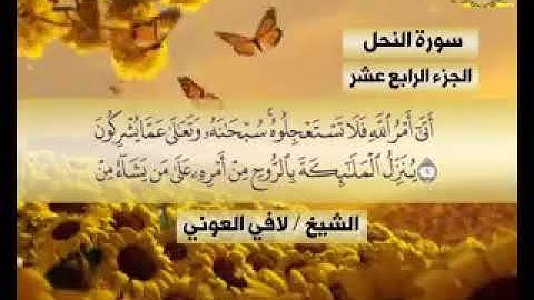 سورة النمل -الشيخ لافي العوني