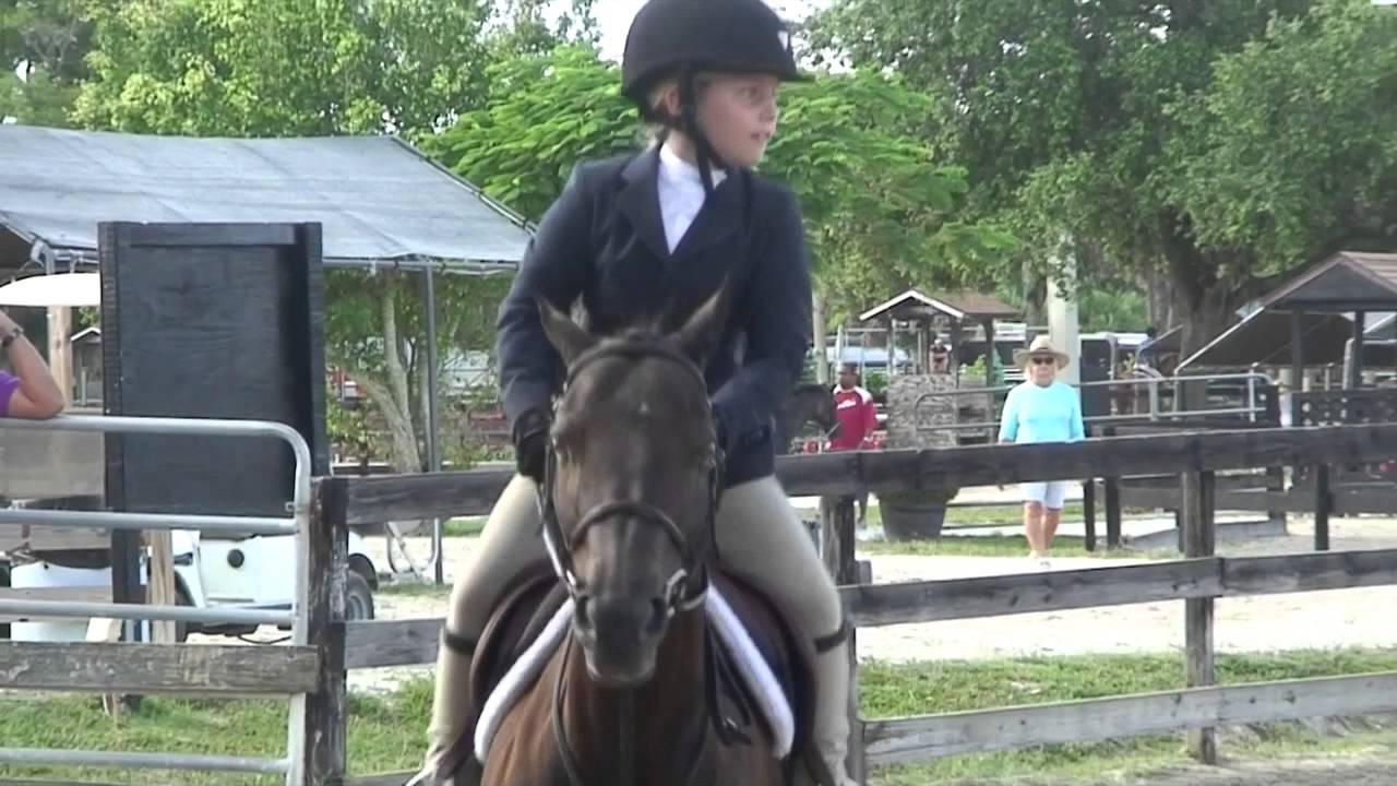 2015 Venice, FL Summers Here National Horse Show YouTube