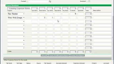 Accorto Cloud Time & Expense Introduction