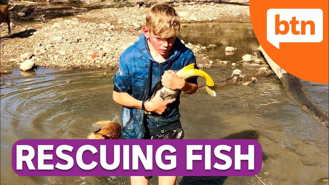 Aussie Kid Saves Native Fish From Drought