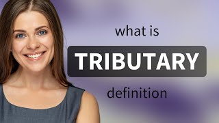 Tributary • TRIBUTARY meaning