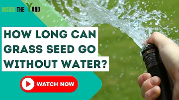 Jak dlouho mohou semena vydržet bez vody?