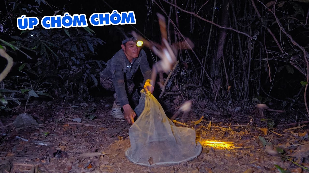 Mùa Úp Chôm Chôm Rừng - Món Ngon Của Núi Rừng