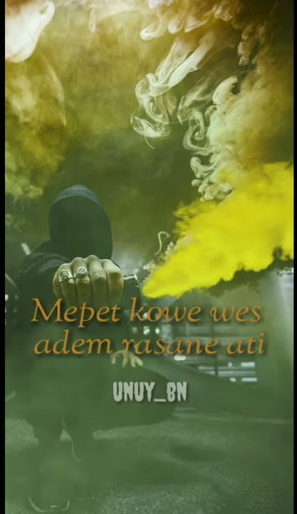 Story Wa REGGAE Prei kanan kiri | cover FDJ emily young #RPICTURES