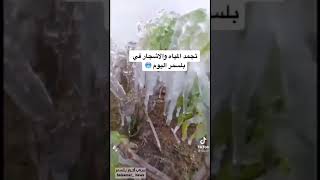 ١٥ ديسمبر ٢٠٢١